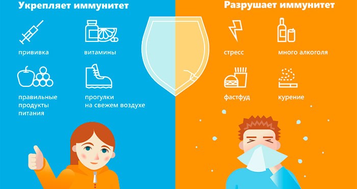 Иммунитет - основа здоровья